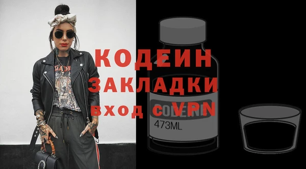 гашик Алексин