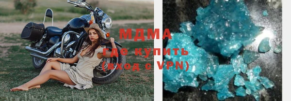 прущие грибы Абинск