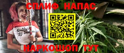 индика Малгобек