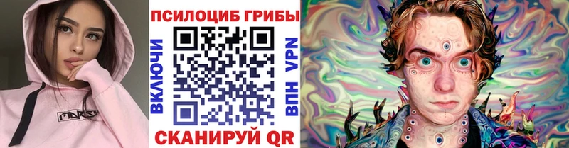 Галлюциногенные грибы Psilocybe  ОМГ ОМГ сайт  Киреевск 