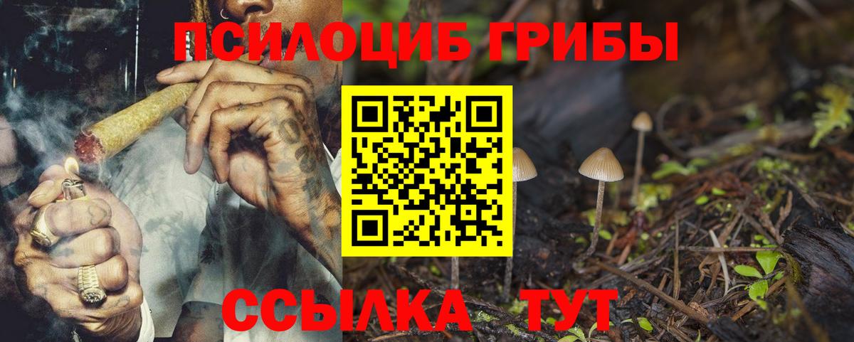Псилоцибиновые грибы Psilocybine cubensis  Галлюциногенные грибы мухоморы  Киреевск  Вход с VPN 