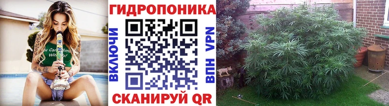 Шишки марихуана Amnesia сколько стоит Киреевск